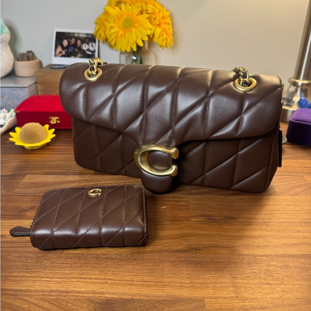 Brown Quilted Tabby 26